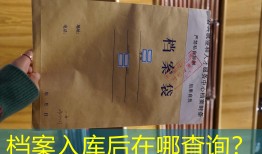 档案入库后在哪查询？