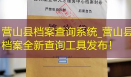营山县档案查询系统_营山县档案全新查询工具发布！