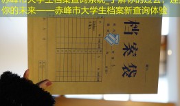 赤峰市大学生档案查询系统_了解你的过去，连接你的未来——赤峰市大学生档案新查询体验