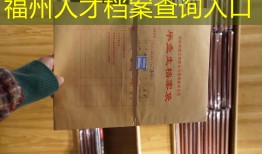 福州人才档案查询入口