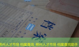 郴州人才市场 档案查询_郴州人才市场 档案查找助手