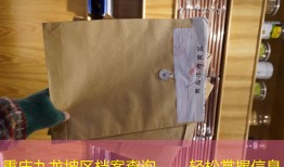 重庆九龙坡区档案查询——轻松掌握信息