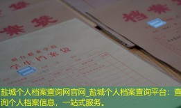 盐城个人档案查询网官网_盐城个人档案查询平台：查询个人档案信息，一站式服务。