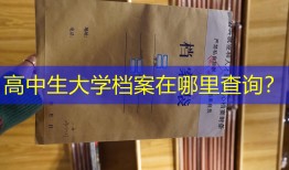 高中生大学档案在哪里查询？
