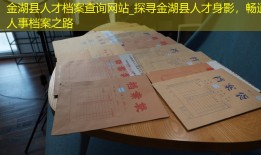 金湖县人才档案查询网站_探寻金湖县人才身影，畅通人事档案之路