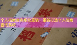 个人档案查询系统重装：重新打造个人档案查询系统