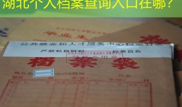 湖北个人档案查询入口在哪？
