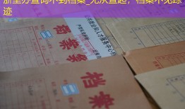 浙里办查询不到档案_无从查起，档案不见踪迹