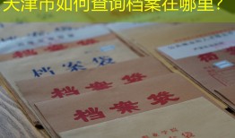 天津市如何查询档案在哪里？