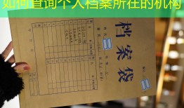 如何查询个人档案所在的机构