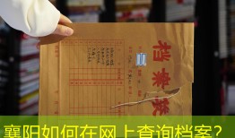 襄阳如何在网上查询档案？