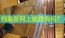 档案在网上能查询吗？