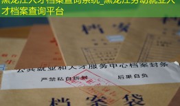 黑龙江人才档案查询系统_黑龙江劳动就业人才档案查询平台