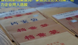 潍坊高新档案查询：掌握员工历史档案，助力企业用人选拔