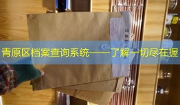 青原区档案查询系统——了解一切尽在握