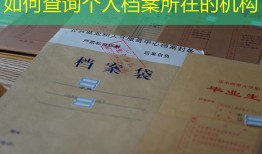 如何查询个人档案所在的机构