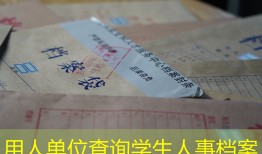 用人单位查询学生人事档案