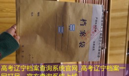 高考辽宁档案查询系统官网_高考辽宁档案一网打尽，官方查询系统上线