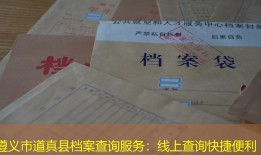 遵义市道真县档案查询服务：线上查询快捷便利