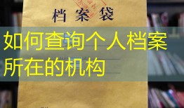 如何查询个人档案所在的机构