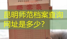 昆明师范档案查询网址是多少？