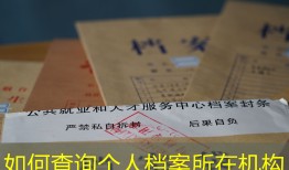 如何查询个人档案所在机构