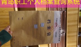 青岛职工个人档案查询系统