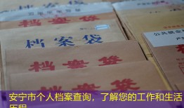 安宁市个人档案查询，了解您的工作和生活历程
