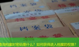 查询档案时密码是什么？如何获得进入档案的权限？