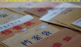 托管和查询自己的档案——让生活更加便捷