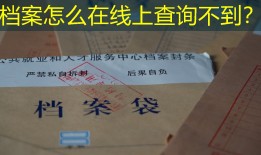 档案怎么在线上查询不到？