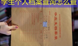 学生个人档案查询怎么查