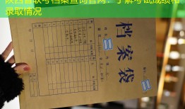 陕西省联考档案查询官网：了解考试成绩和录取情况