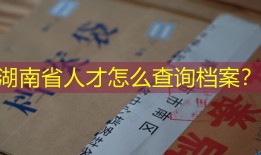 湖南省人才怎么查询档案？