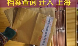 档案查询 迁入 上海