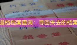 退档档案查询：寻回失去的档案