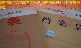 湖南常德个人档案查询系统_湖南常德的个人档案查询平台