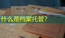 什么是档案托管？