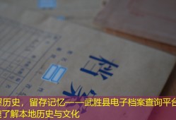 掌握历史，留存记忆——武胜县电子档案查询平台助您快速了解本地历史与文化