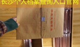 长沙个人档案查询入口官网