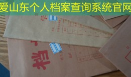 爱山东个人档案查询系统官网
