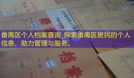 番禺区个人档案查询_探索番禺区居民的个人信息，助力管理与服务。