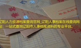 辽阳人力资源档案查询官网_辽阳人事档案在线查询网站：一站式查询辽阳市人事档案资料的专业平台。