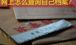 网上怎么查询自己档案？