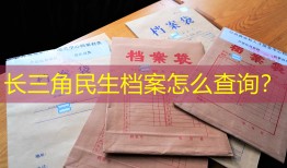 长三角民生档案怎么查询？
