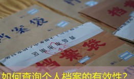 如何查询个人档案的有效性？