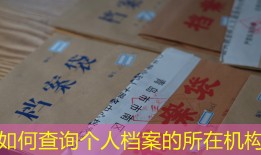 如何查询个人档案的所在机构