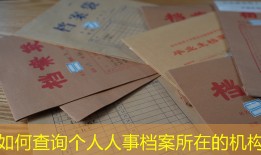 如何查询个人人事档案所在的机构