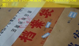 重庆璧山个人档案查询：揭秘背后的惊人秘密！
