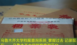 乌鲁木齐大学档案查询系统_掌握过去 记录现在——乌鲁木齐大学档案查询平台